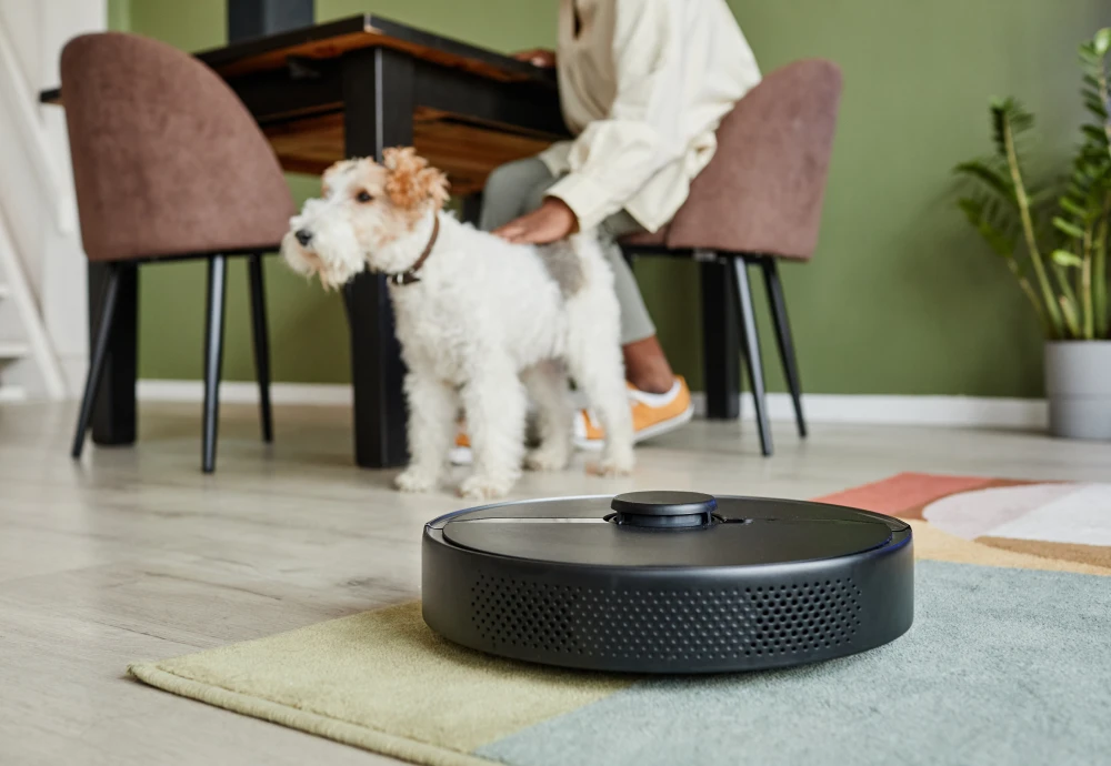 robotic vacuum cleaner with map navigation function